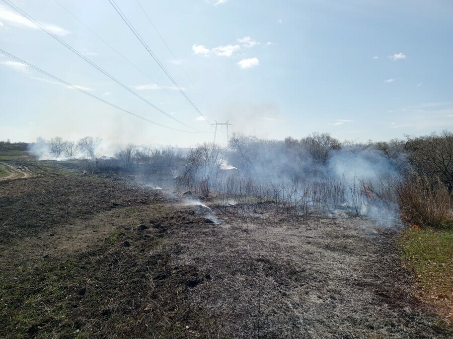 Пожарные остановили палы в районе трех сёл в Амурской области