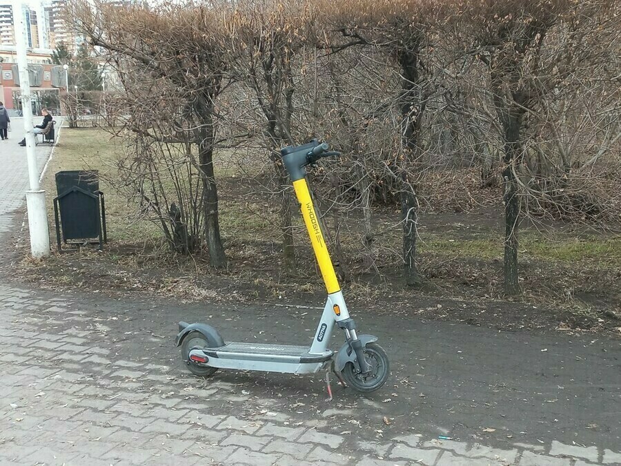 Информацию о наезде на мужчину в Первомайском парке Благовещенска проверяет глава СК России
