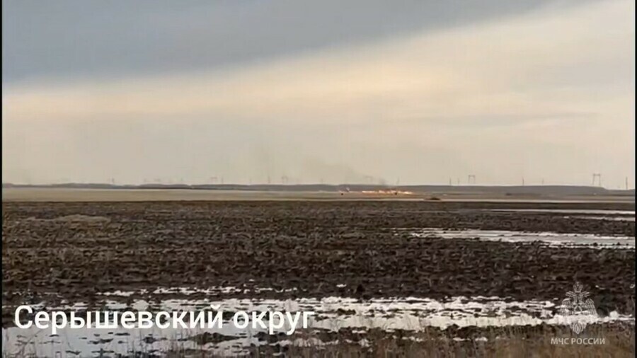 В Приамурье наказали аграриев  виновников палов