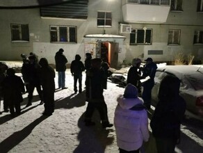 При пожаре в Екатеринбурге погибли просившие помощь в Twitter мать и дочь фото