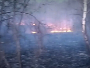 В Амурской области пожарным пришлось тушить пал на 50 гектарах видео