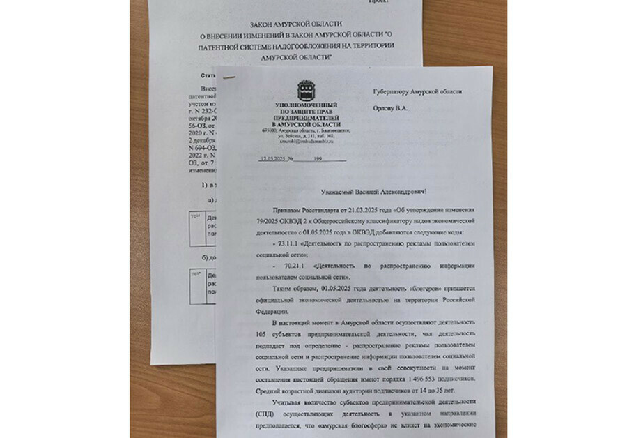 Ввести патент для блогеров предложил уполномоченный по защите прав предпринимателей в Амурской области
