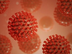Стопкоронавирус утверждает что в Амурской области сразу девять новых COVIDсмертей