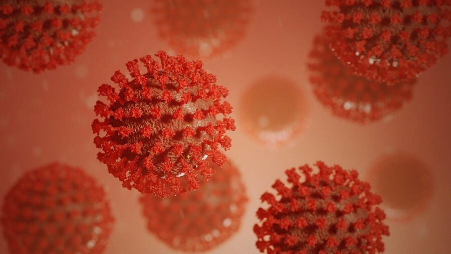 Стопкоронавирус утверждает что в Амурской области сразу девять новых COVIDсмертей