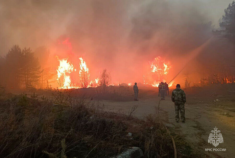 Власти почти все пожары в Амурской области  дело рук человеческих необходимо увеличить штрафы