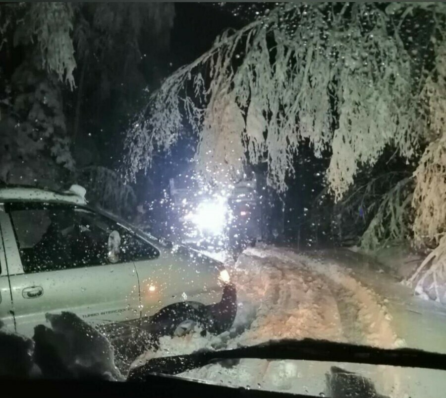 Без связи и света На севере Приамурья обрывы на ЛЭП нашли с вертолета