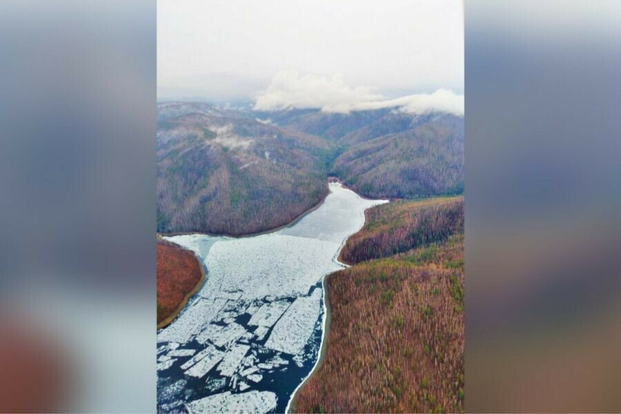 Какая обстановка с природными пожарами в Приамурье 