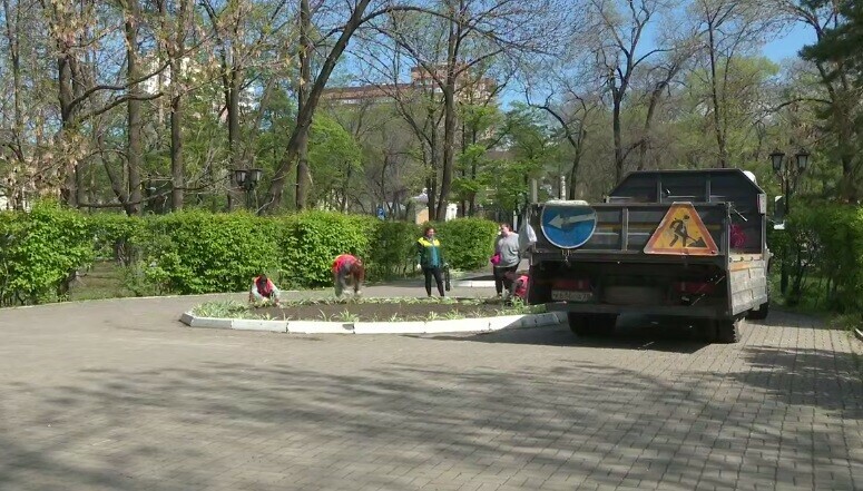 Около 250 тысяч в Благовещенске начали масштабно высаживать цветы видео 