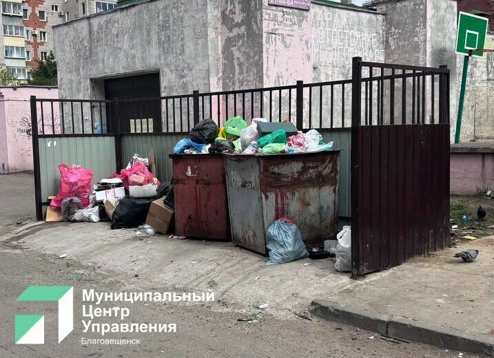 Что делать если мусорные контейнеры переполнены и куда обращаться рассказали власти Благовещенска 