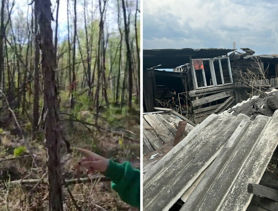 В Приамурье ищут пропавшую бабушку поисковики просят водителей просмотреть видеорегистраторы