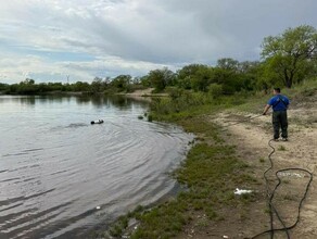 В Благовещенске водолазы проверили дно рек и озер Что удалось достать фото 