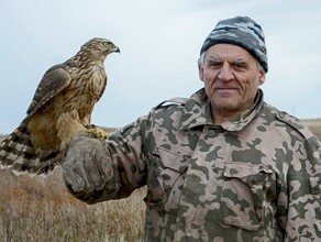 Умер известный амурский орнитолог Василий Дугинцов