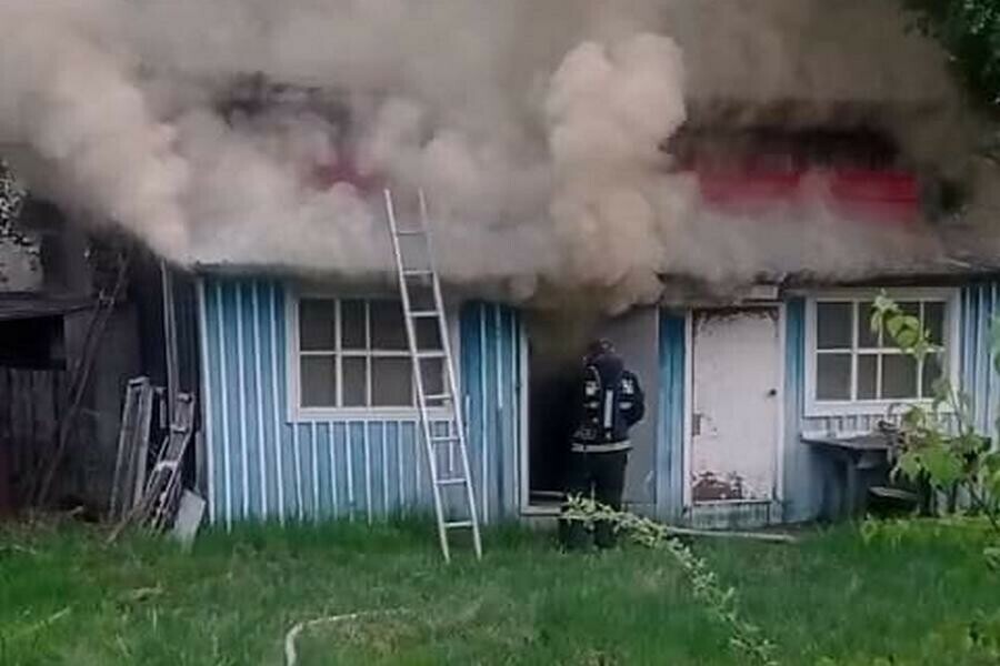 В Приамурье остановили пожар сохранив постройки и лес 