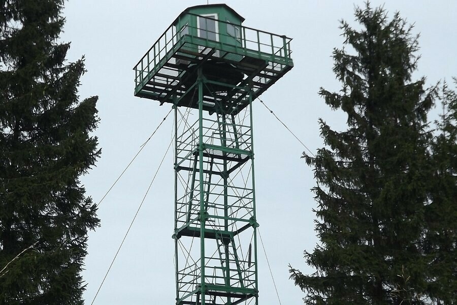Мертвого стрелка нашли в Приамурье под постовой вышкой 