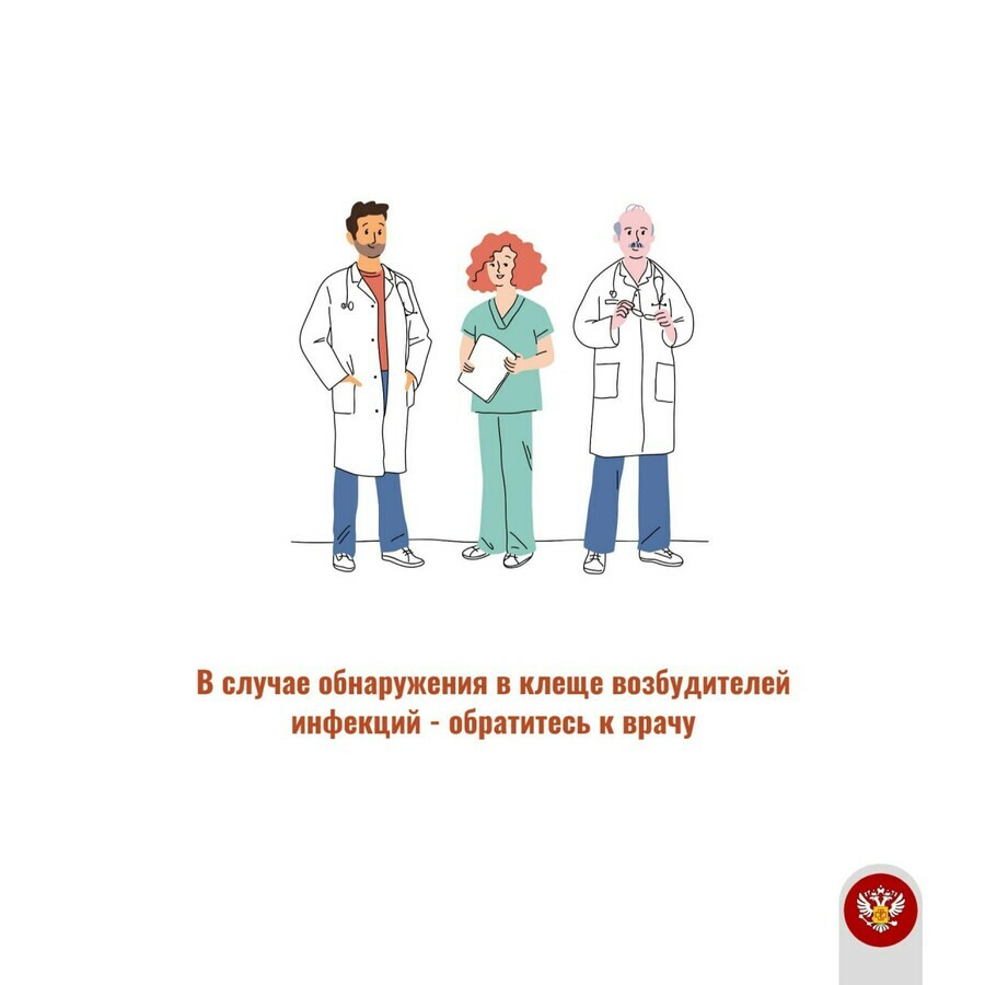 Амурчанам рассказали что делать при обнаружении клеща
