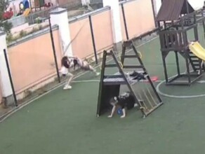 Ребенок порвал ухо на детской площадке в Благовещенске фото видео
