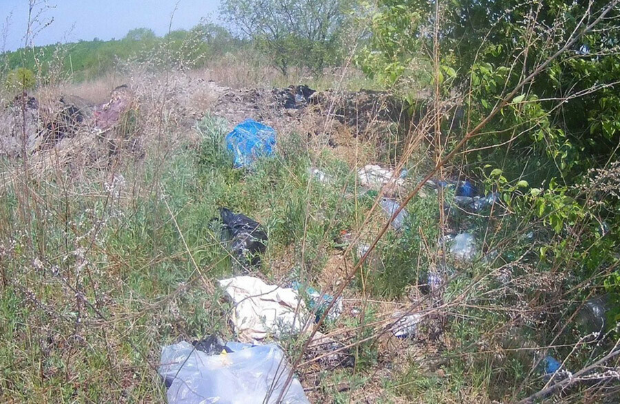 Изза пестицидов участок сельхозземли в Амурской области больше нельзя использовать по прямому назначению