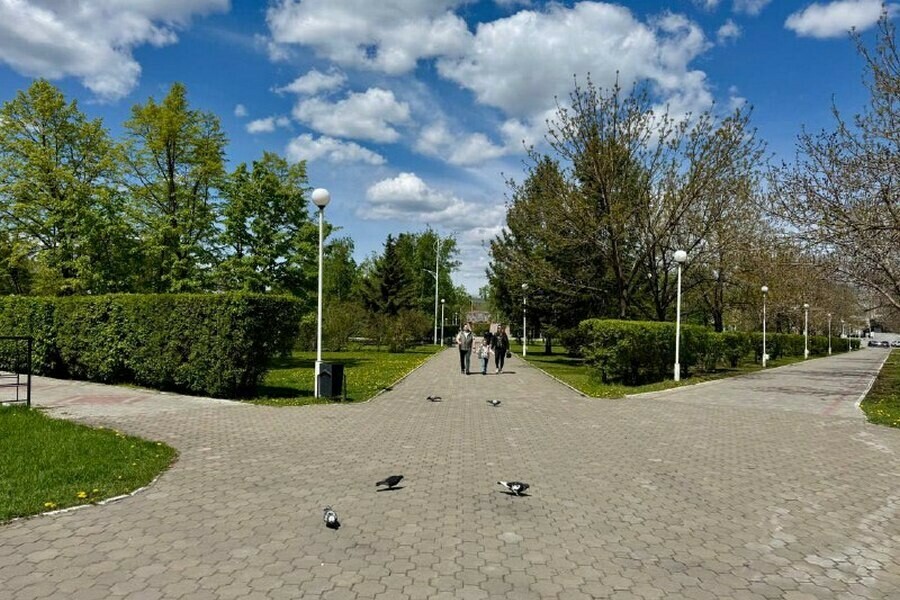 У благовещенцев осталось несколько часов чтобы выбрать будущее одной из территорий города