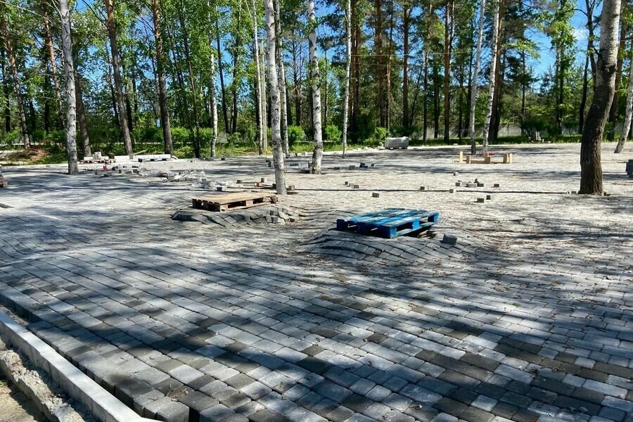 Обсерватория кафе и космический корабль  в Приамурье появится новая парковая зона фото