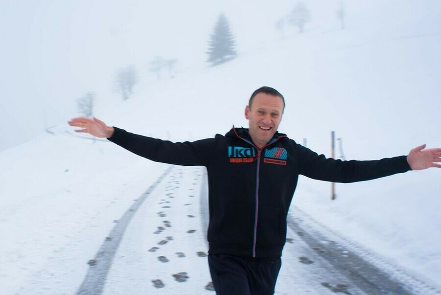 Германия передала в Россию данные по отравлению Навального перед его возвращением