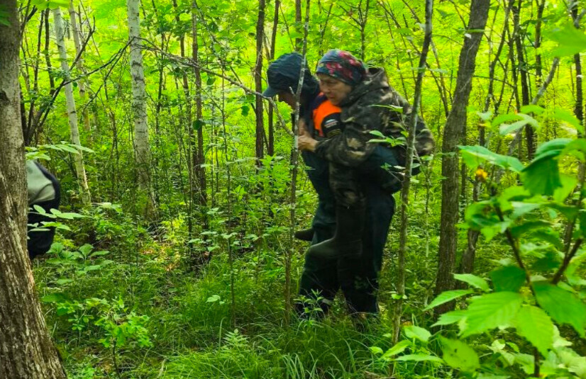 Пенсионерки три ночи провели в лесу За ними шел медведь видео