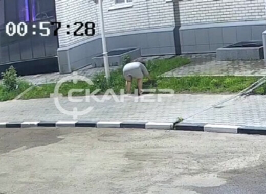 Благовещенцы просят опознать женщину которая выкопала саженцы японской спиреи