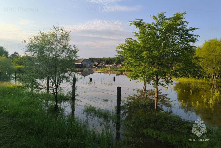 Ситуация под контролем в Амурской области поднялась вода и подтопила приусадебные участки 