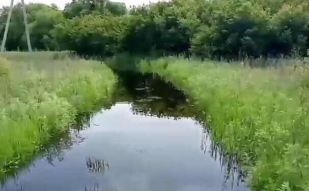 Все в воде иду по колено амурчане показали как сильно разлилась небольшая река видео