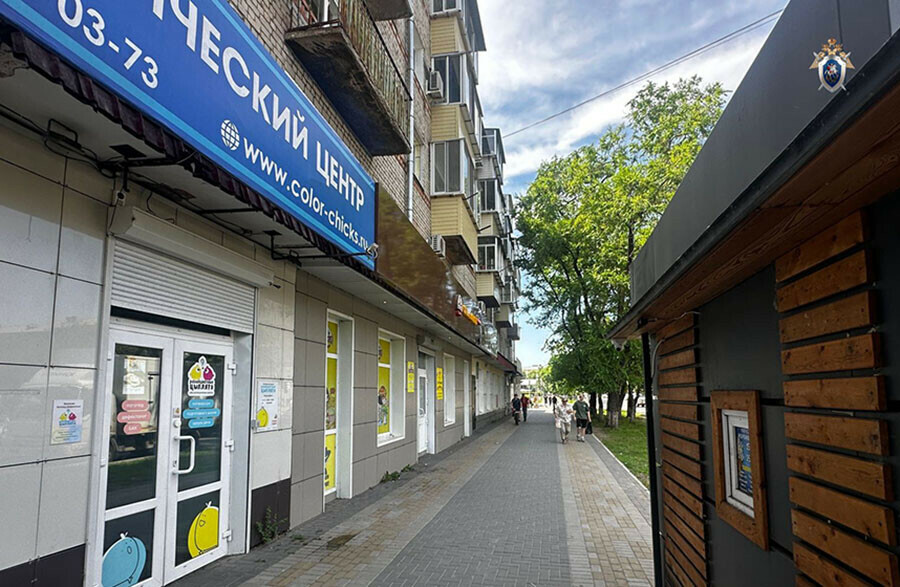 Элемент фасада упал на ребенка в Благовещенске Следком начал проверку
