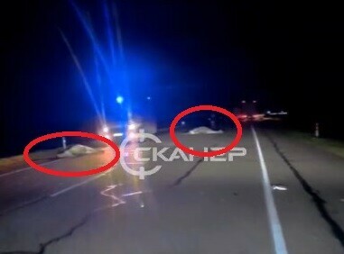 На дороге между Благовещенском и Ивановкой малолитражка сбила лошадей видео 18