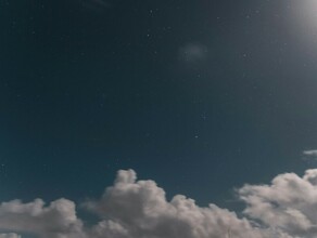 Гороскоп 21 августа Львам стоит поберечь нервную систему а Стрельцам могут дать ложный совет