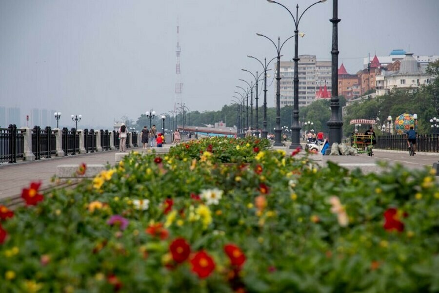 В Благовещенске пройдут мероприятия в честь Дня семьи любви и верности Куда пойти