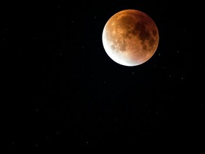 Гороскоп 14 сентября Стрельцов ждет неожиданный поворот событий а Львам не стоит впустую распылять свои силы
