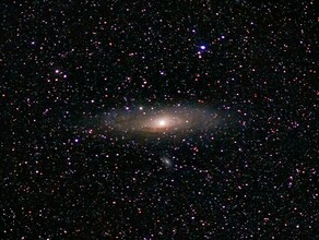 Гороскоп 5 ноября Ракам не стоит доверять всем подряд а Козерогам пора воспользоваться новыми возможностями 