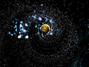 Гороскоп 19 ноября Стрельцов ждут перемены Львы сделают сложный выбор 