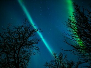 Гороскоп 28 ноября Водолеи захотят рискнуть Тельцов ждут финансовые поступления 