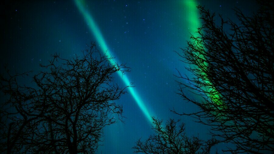 Гороскоп 28 ноября Водолеи захотят рискнуть Тельцов ждут финансовые поступления 