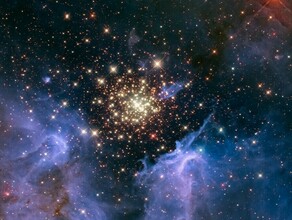 Гороскоп 3 декабря Скорпионам поступит деловое предложение а Дев ждет день любви 