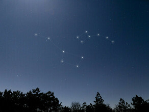 Гороскоп 10 декабря Стрельцов может сковать тоска Львов ждет неожиданная прибыль 