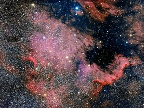 Гороскоп 11 января Овны самостоятельно решат проблемы Рыб ждет благоприятный день