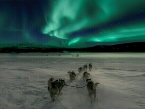 Гороскоп 29 января Рыб ждут недоразумения а Овны смогут отдохнуть