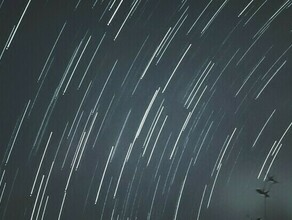 Гороскоп 14 марта Водолеям пора заняться финансовым благополучием Близнецов ждет противоречивый день