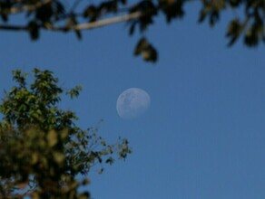 Гороскоп 24 марта Рыбам стоит поддержать партнера а Овнам нельзя терять чувства реальности 