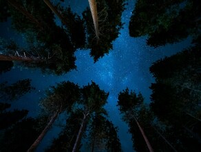 Гороскоп 4 апреля у Скорпионов появятся конкуренты а Девы найдут свое предназначение 