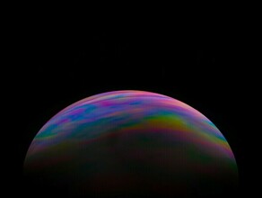 Гороскоп 11 апреля Львам стоит заботиться о финансах а Стрельцы будут рассеянными 