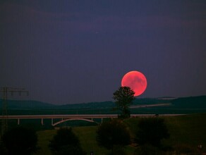 Гороскоп 23 апреля Стрельцам не стоит рисковать а Львам нужно правильно распределить время