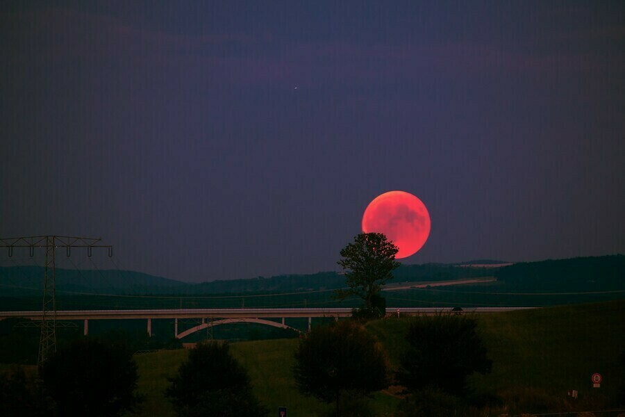 Гороскоп 23 апреля Стрельцам не стоит рисковать а Львам нужно правильно распределить время