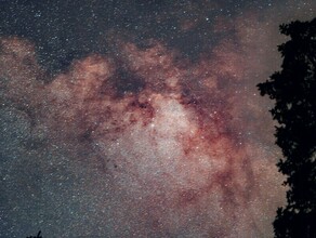 Гороскоп 25 мая Тельцы могут вызвать непонимание у окружающих у Весов возрастает жизненный потенциал 