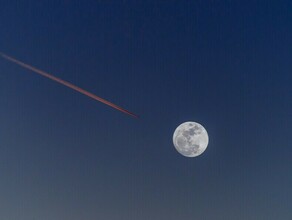 Гороскоп 24 июня Близнецы будут беспокоиться изза работы Водолеи будут притягивать людей к себе