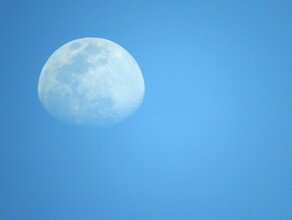 Гороскоп 7 августа Девам не стоит принимать важных решений Скорпионам нельзя ссориться с детьми